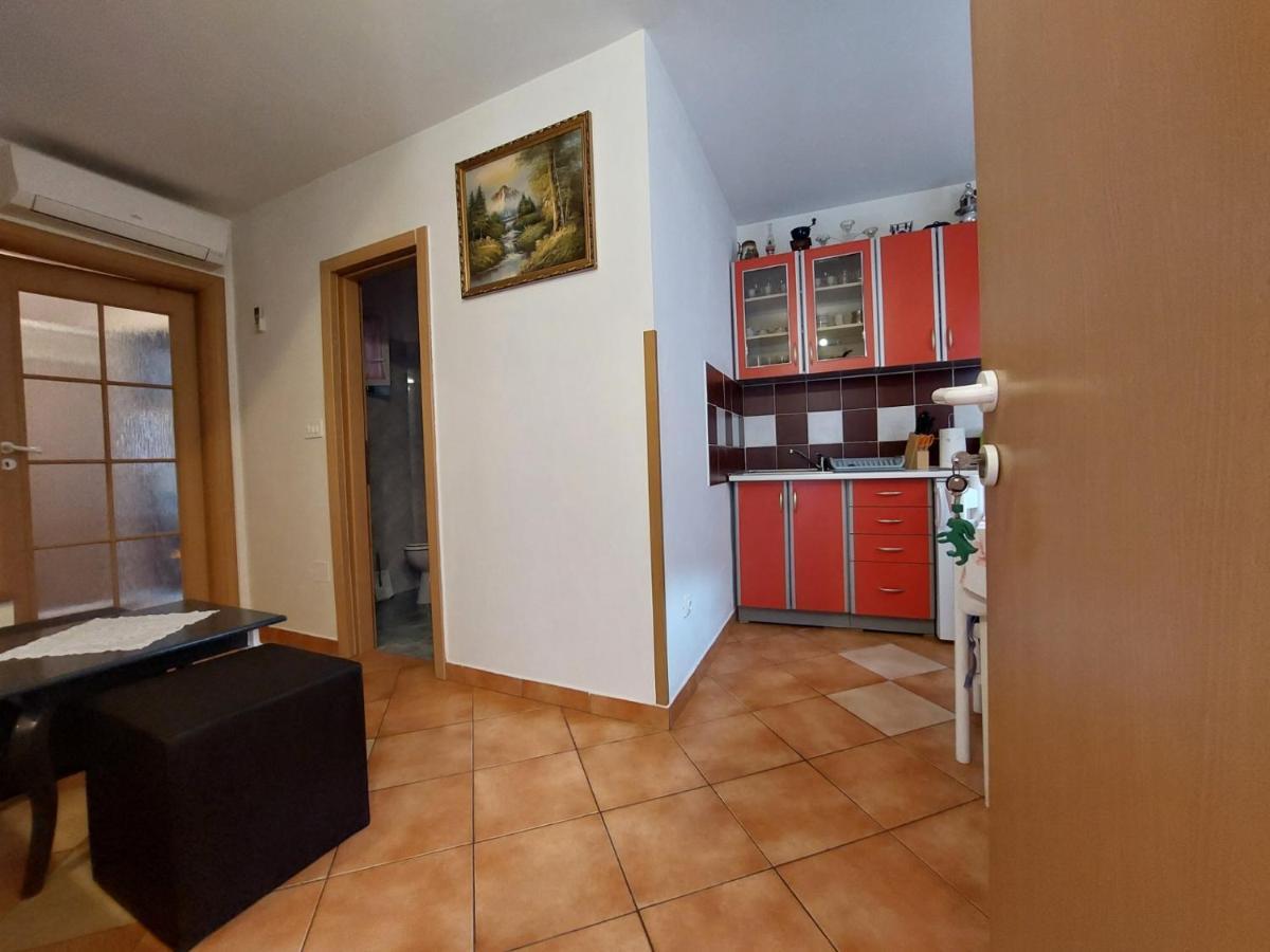 Leona Apartment Novigrad Istria Exterior foto